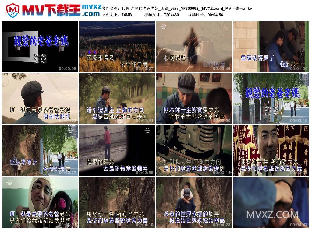 代栋-亲爱的老爸老妈_国语_流行_YF800092
